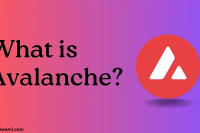 What is Avalanche (AVAX)?